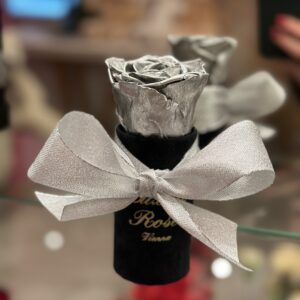 Infinity Rose (Haltbar) Silber & Box samt