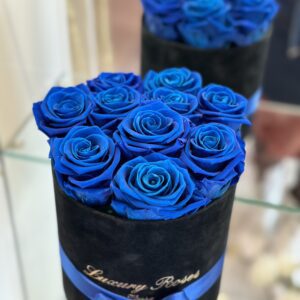 10 Dunkel Blaue Rosen & Samt Box